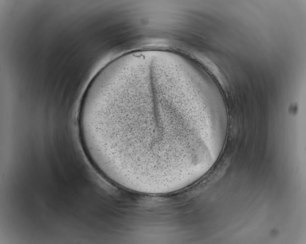 X0000102351475200808291149