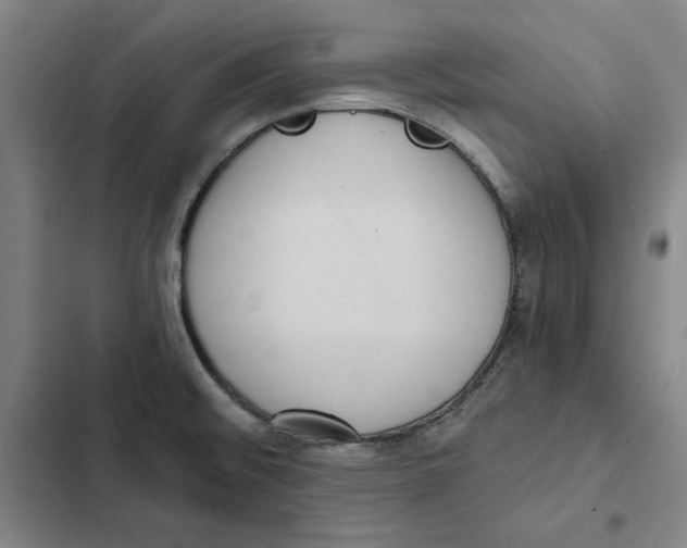 X0000102351476200808291149