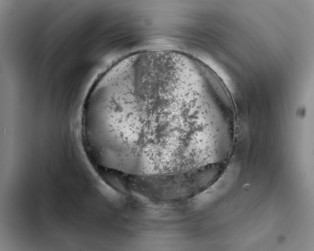 X0000102351477200808291149