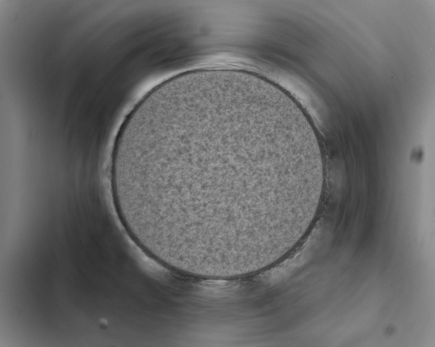 X0000102351478200808291149