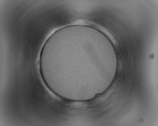 X0000102351479200808291149