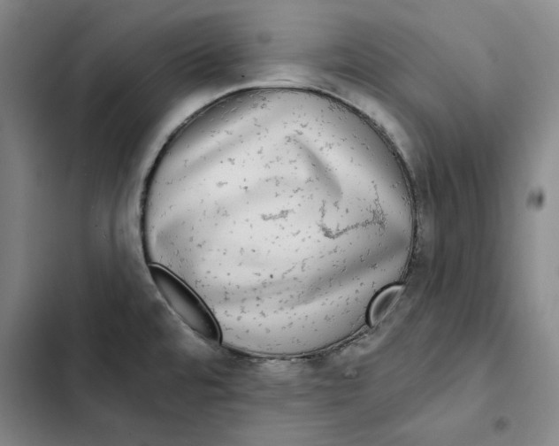 X0000102351480200808291149
