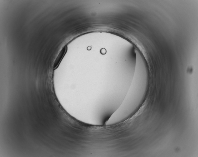 X0000102351481200808291149