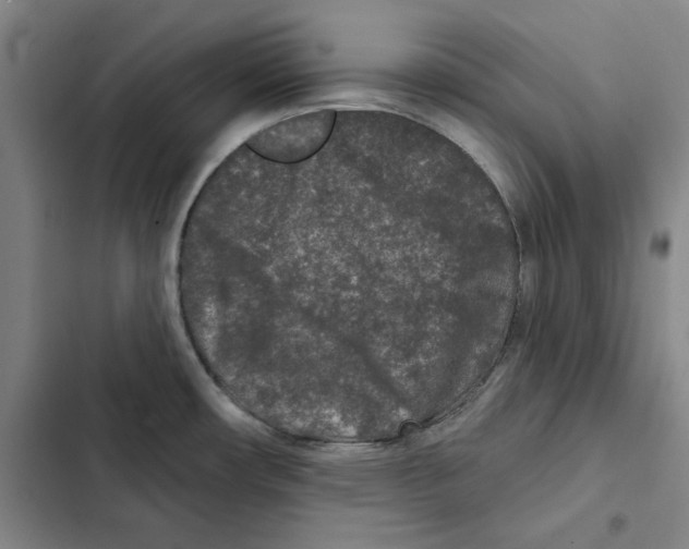 X0000102351482200808291149