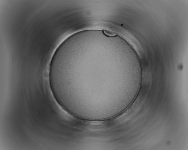 X0000102351484200808291149