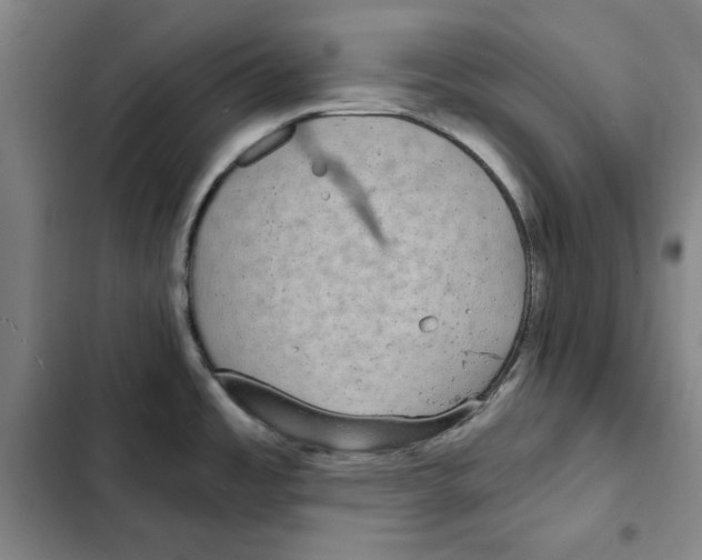 X0000102351485200808291149