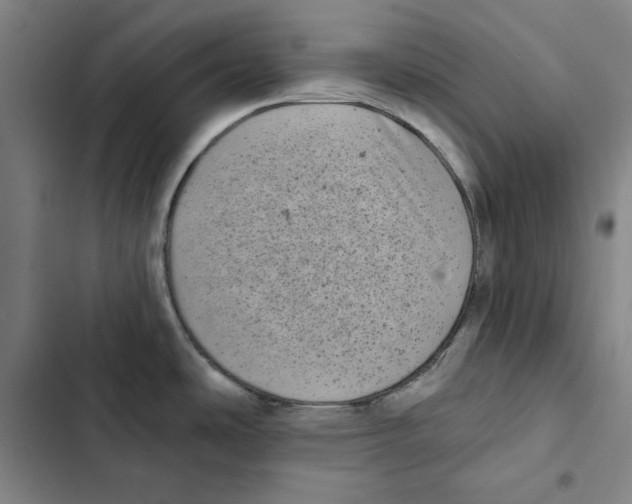 X0000102351486200808291149