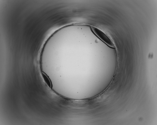 X0000102351488200808291149