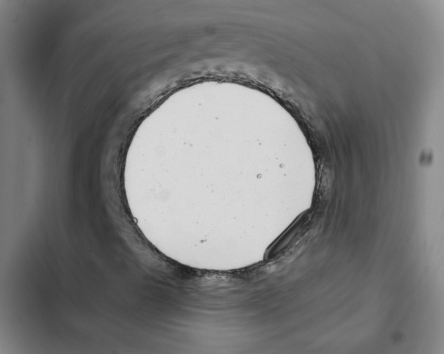 X0000102351489200808291148