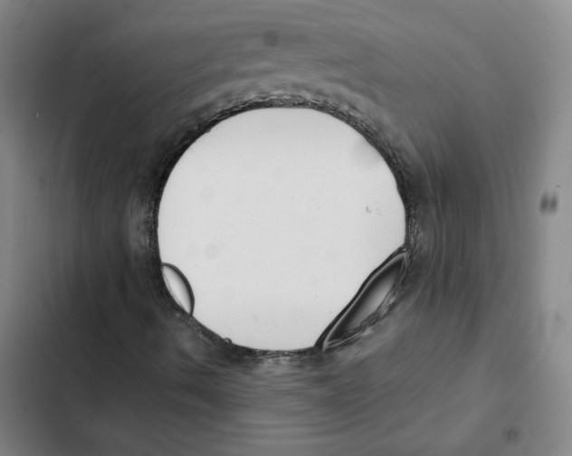 X0000102351490200808291148