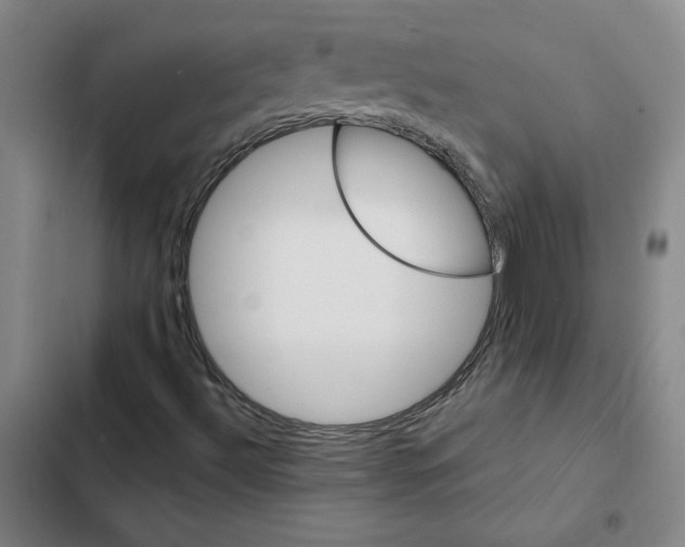 X0000102351492200808291148