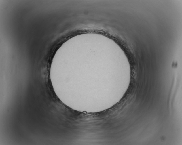 X0000102351493200808291148
