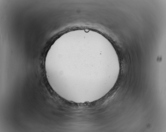 X0000102351494200808291148