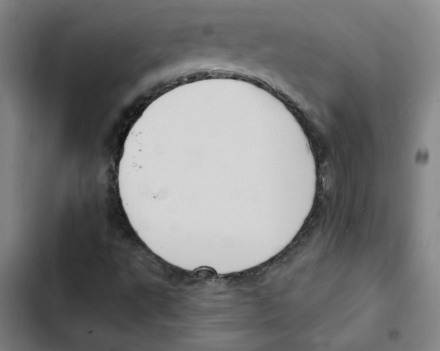 X0000102351495200808291148