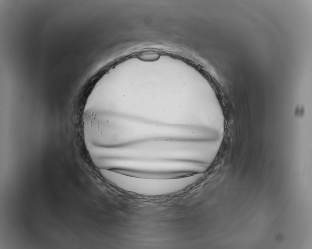 X0000102351496200808291148