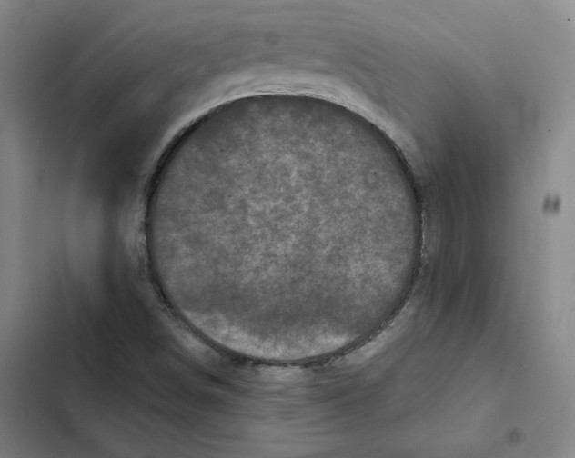 X0000102351498200808291148