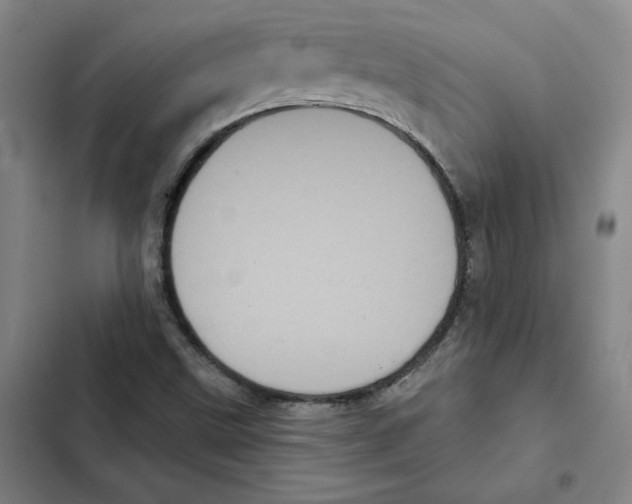 X0000102351499200808291148