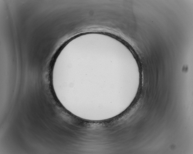 X0000102351501200808291148