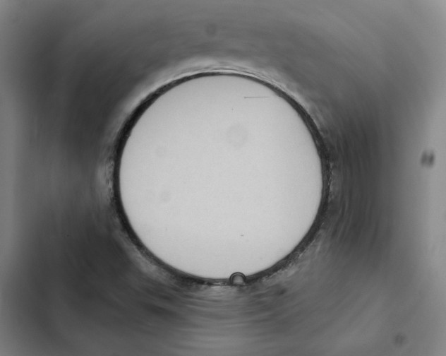 X0000102351503200808291148