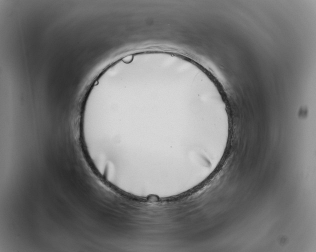 X0000102351504200808291148
