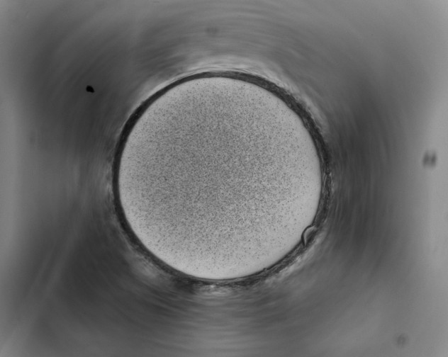 X0000102351505200808291148