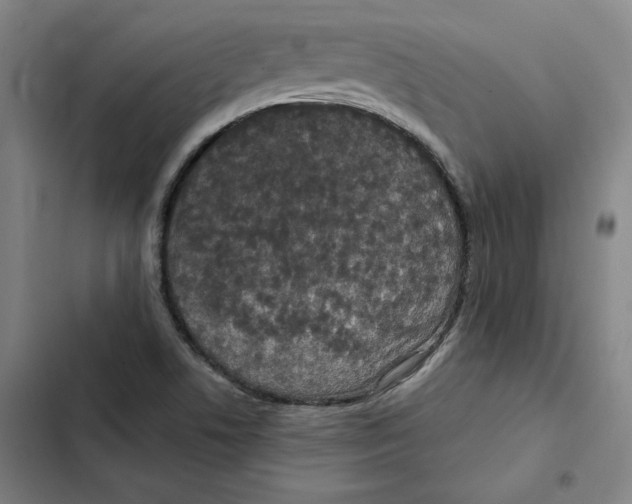 X0000102351506200808291148