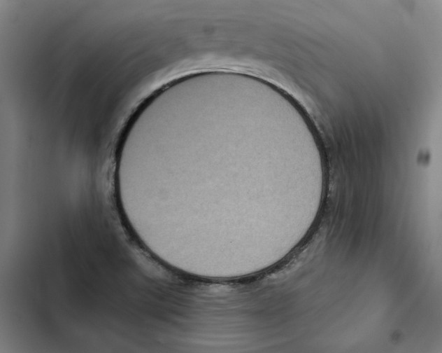 X0000102351507200808291148