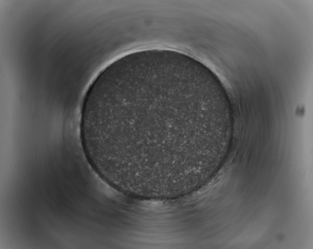 X0000102351508200808291148