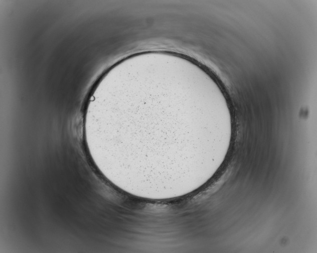 X0000102351509200808291148