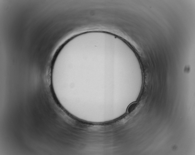 X0000102351510200808291148