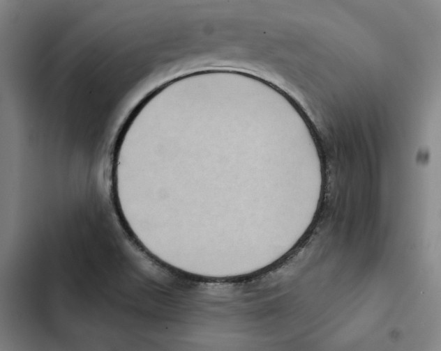 X0000102351511200808291148