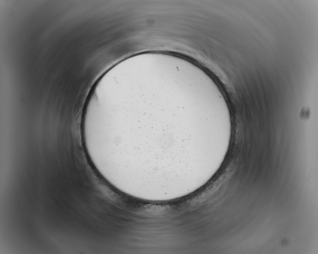 X0000102351513200808291148