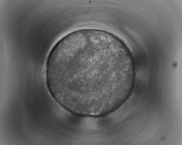 X0000102351514200808291149