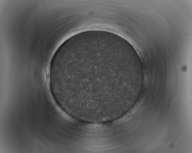 X0000102351515200808291149
