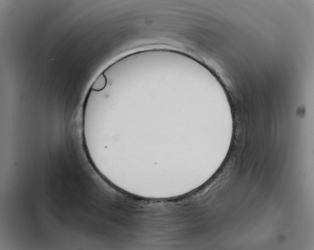 X0000102351516200808291149