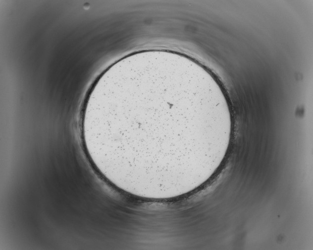 X0000102351517200808291149