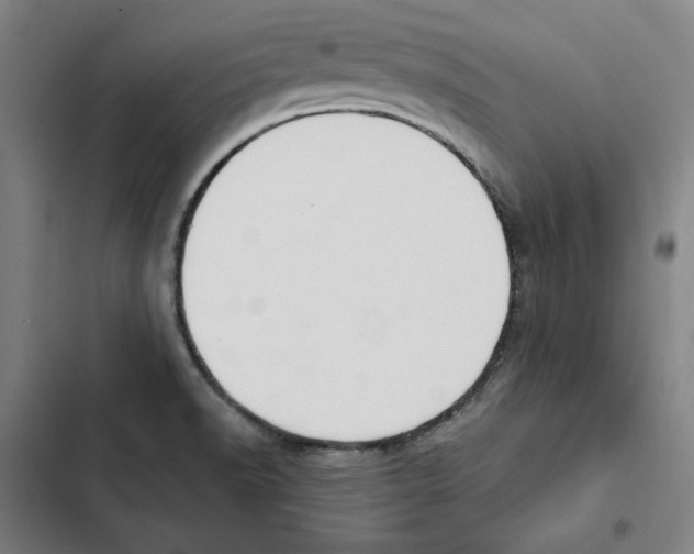X0000102351518200808291149