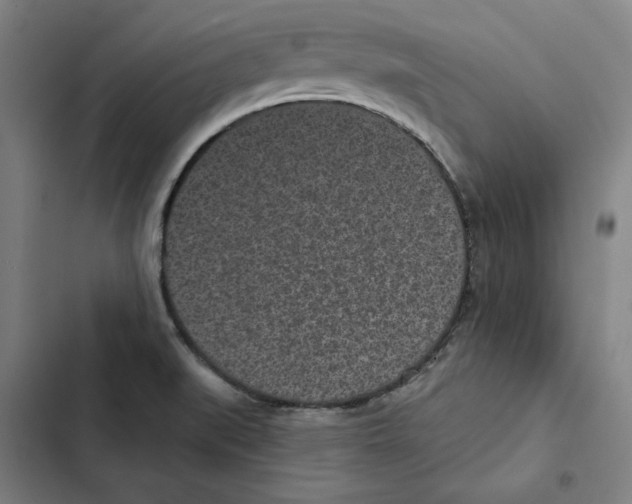X0000102351519200808291149