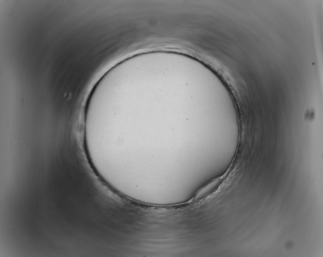 X0000102351520200808291149