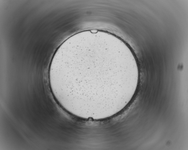 X0000102351521200808291149