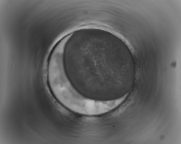X0000102351522200808291149