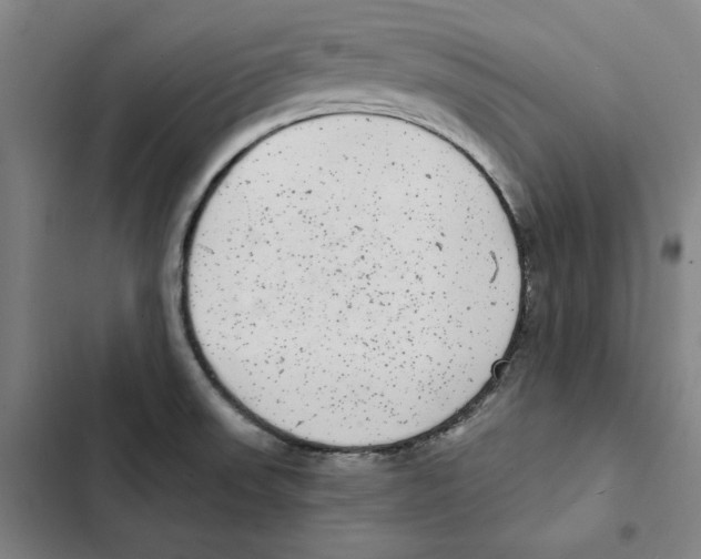 X0000102351523200808291149