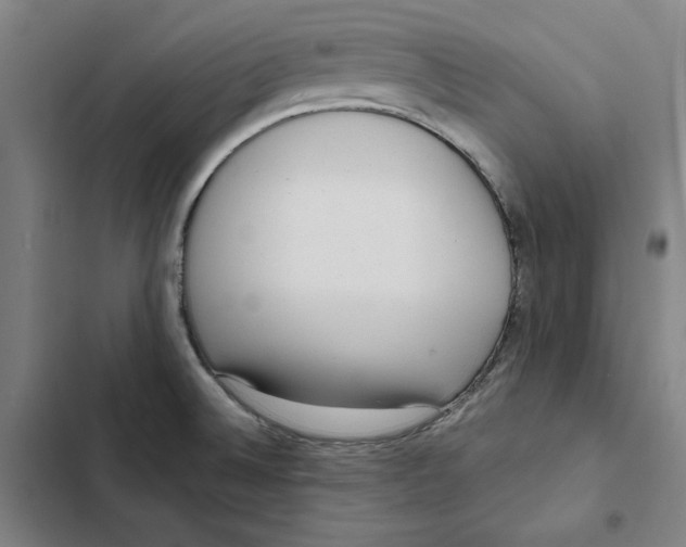 X0000102351524200808291149