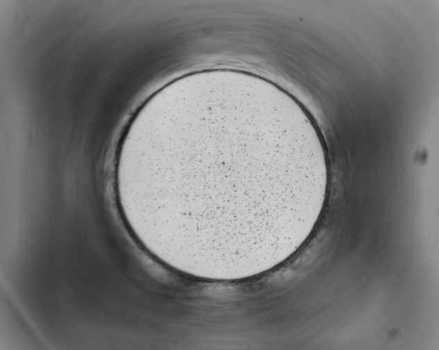 X0000102351525200808291149