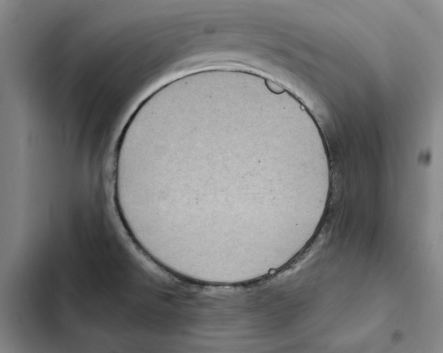 X0000102351526200808291149