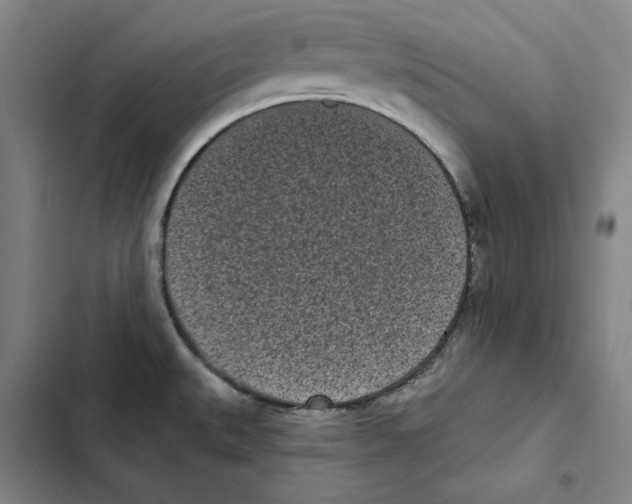 X0000102351527200808291149