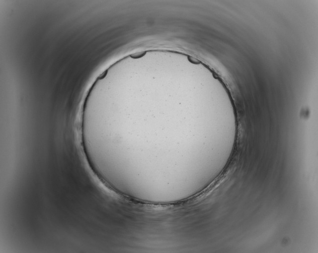 X0000102351528200808291149