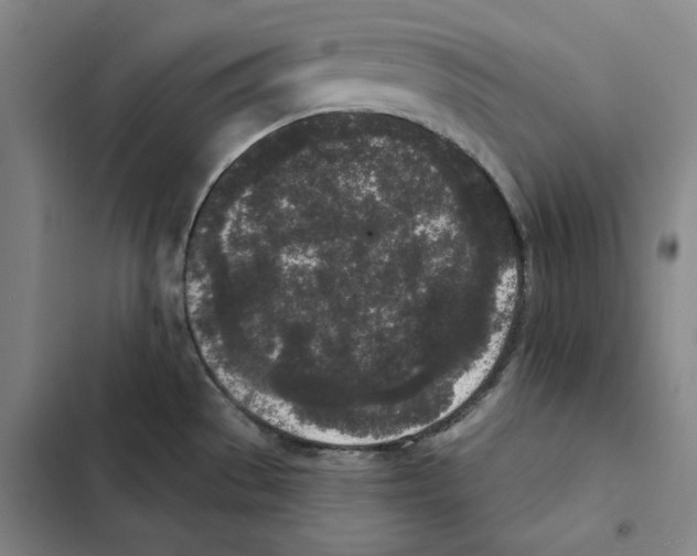X0000102351529200808291149