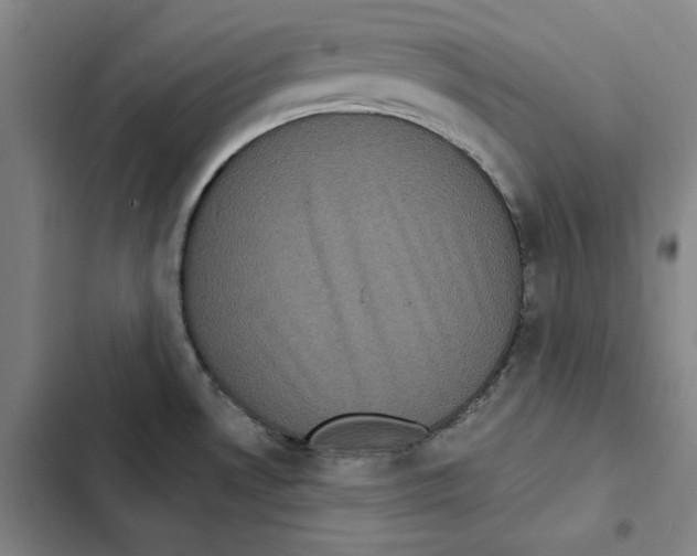 X0000102351530200808291149