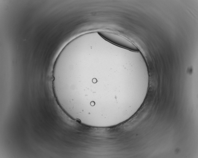 X0000102351532200808291149